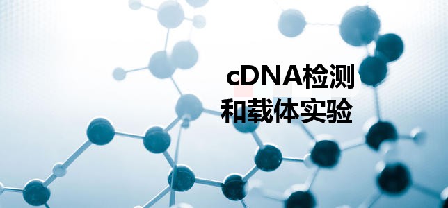 cDNAzydw